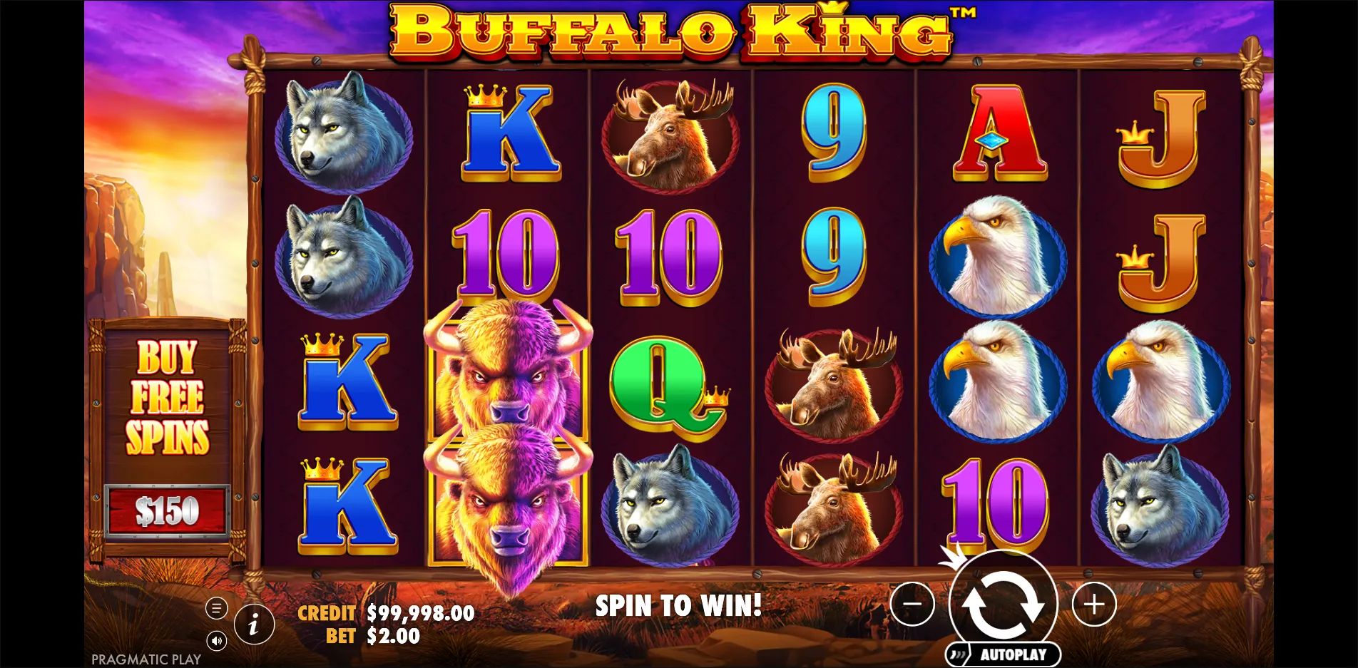 Buffalo King slot gameplay screenshot