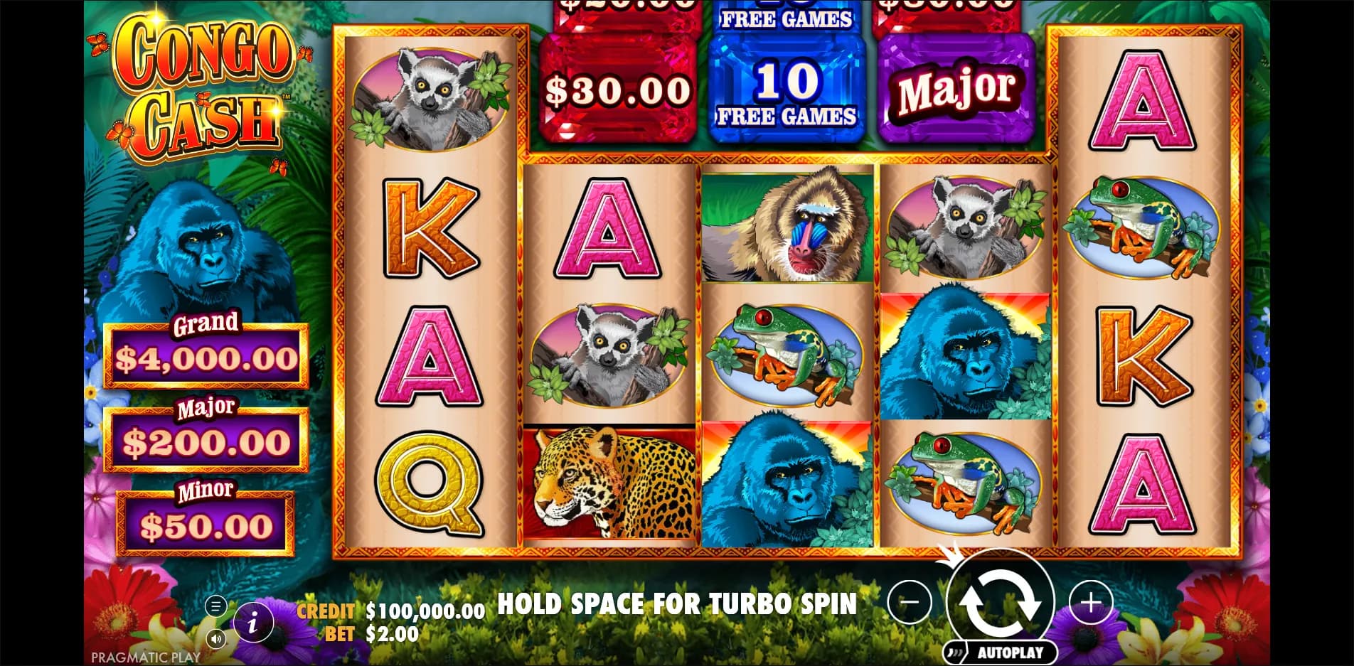 Congo Cash slot gameplay screenshot